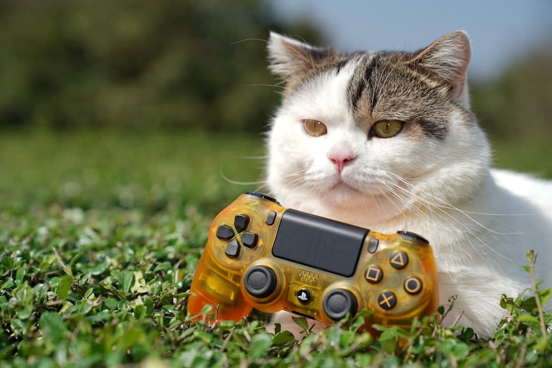 게임 구독 서비스 2026 티어 - Xbox Game Pass는 여전히 S급